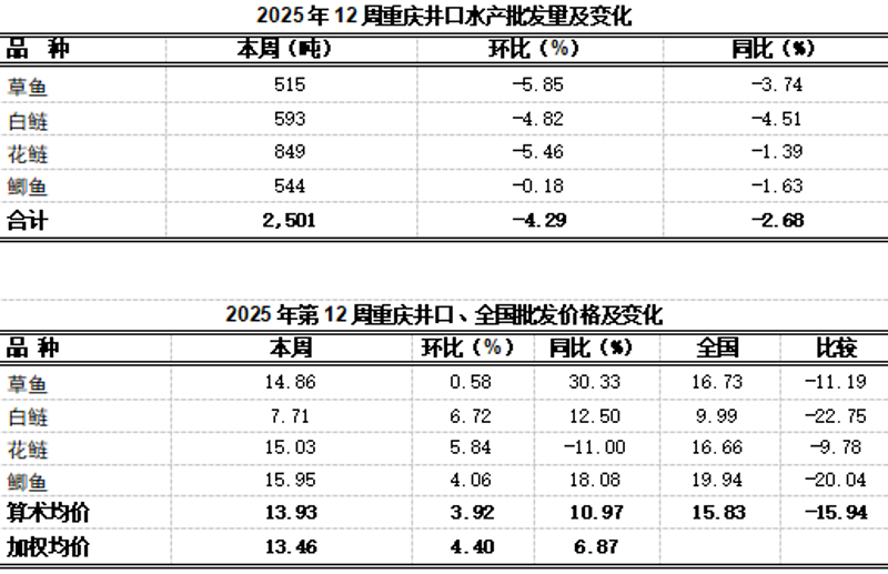 重庆商贸公司的商业脉动：机遇与挑战并存